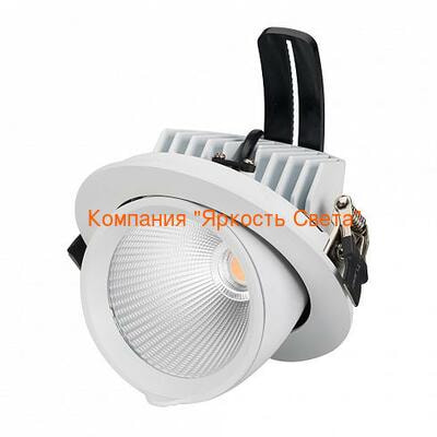   ARLIGHT LTD-EXPLORER-R130-20W Day4000 (WH, 38 deg) (Arlight, IP20 , 3 )